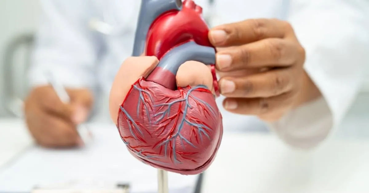 Treppensteigen: Das Supernahrungsmittel für Bewegung im Alter